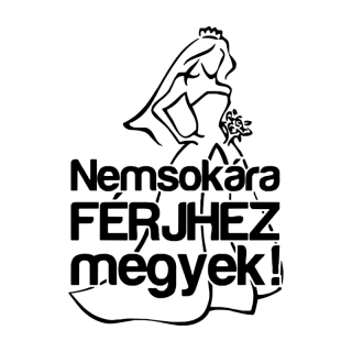 nemsokara-ferjhez-megyek