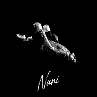 Nani