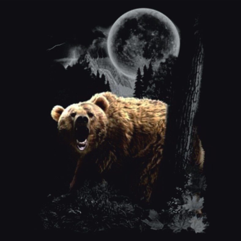 Medve a holdfényben