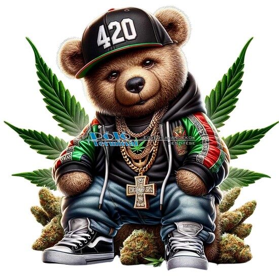 Medve minta pólónyomás