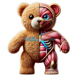 Medve minta pólónyomás